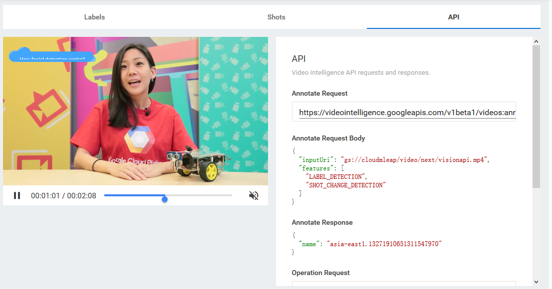 Google Cloud Video Intelligence API DEMO 