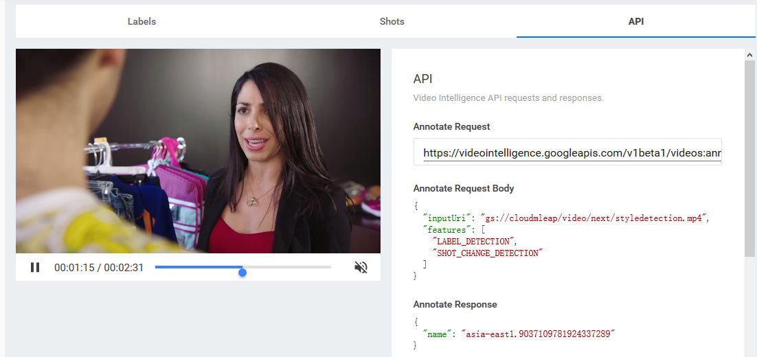 google Cloud Video Intelligence API Demo