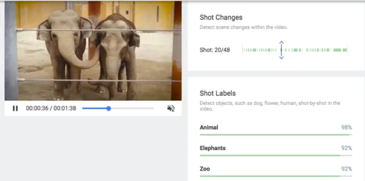 Cloud Video Intelligence API Demo ZOO